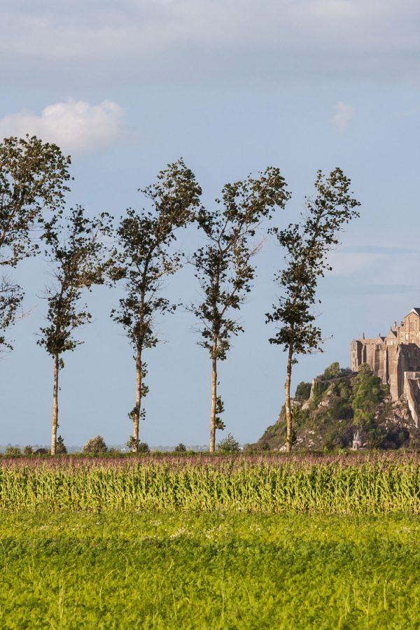 mont-saint-michel-from-the-fields-normandy-france